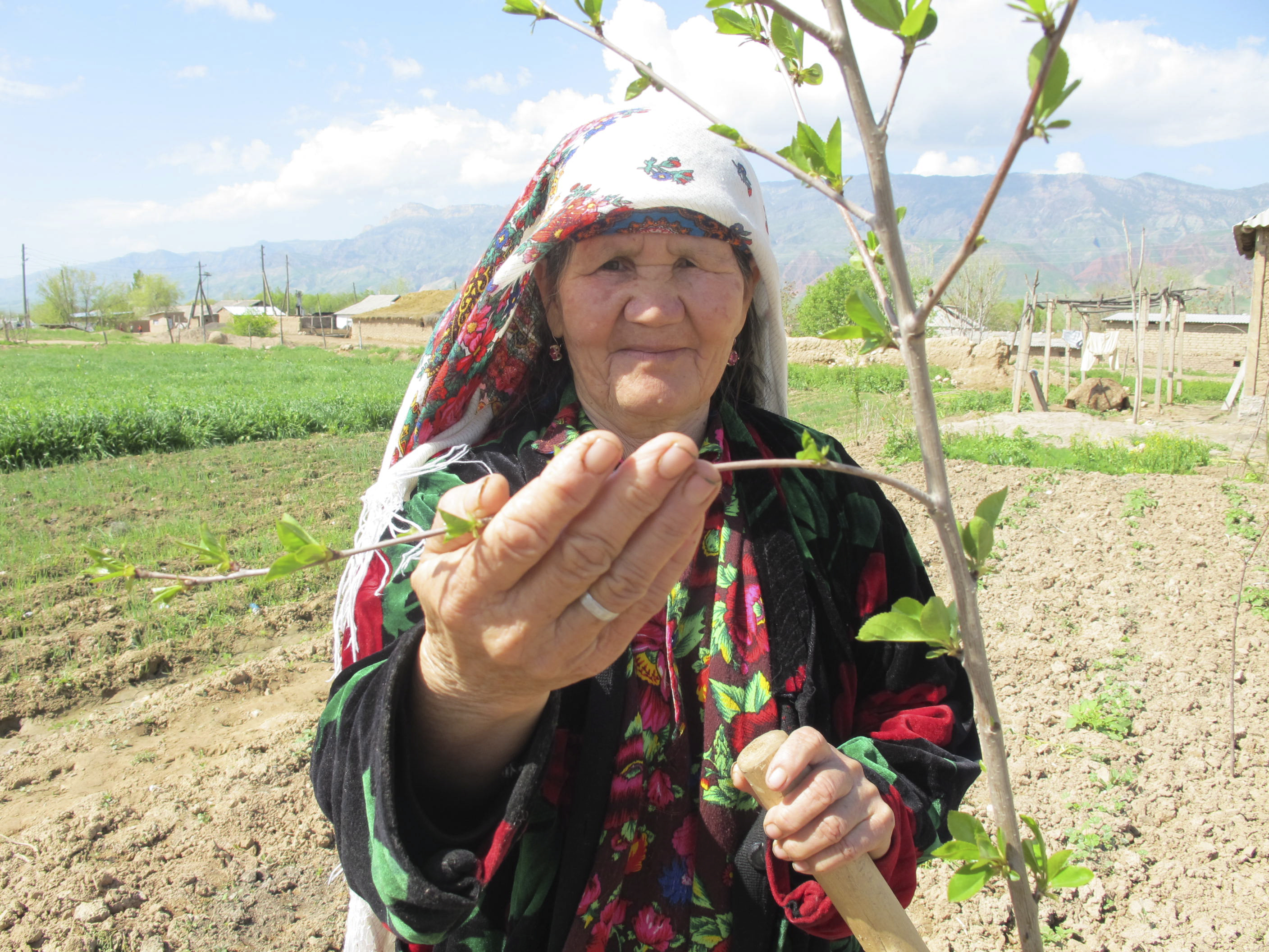 Green Climate Fund Approves WFP-led project for climate change adaptation in Tajikistan