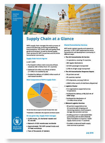 2017 - Supply Chain at a Glance