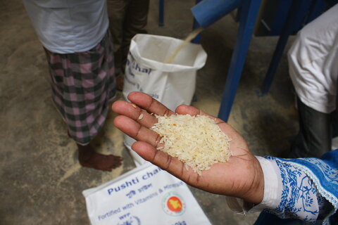 Rice Fortification In Bangladesh