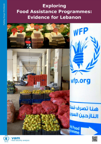 Lebanon - Exploring Food Assistance Programmes: Evidence for Lebanon, November 2015
