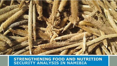 Strengthening Food and Nutrition Security Analysis in Namibia